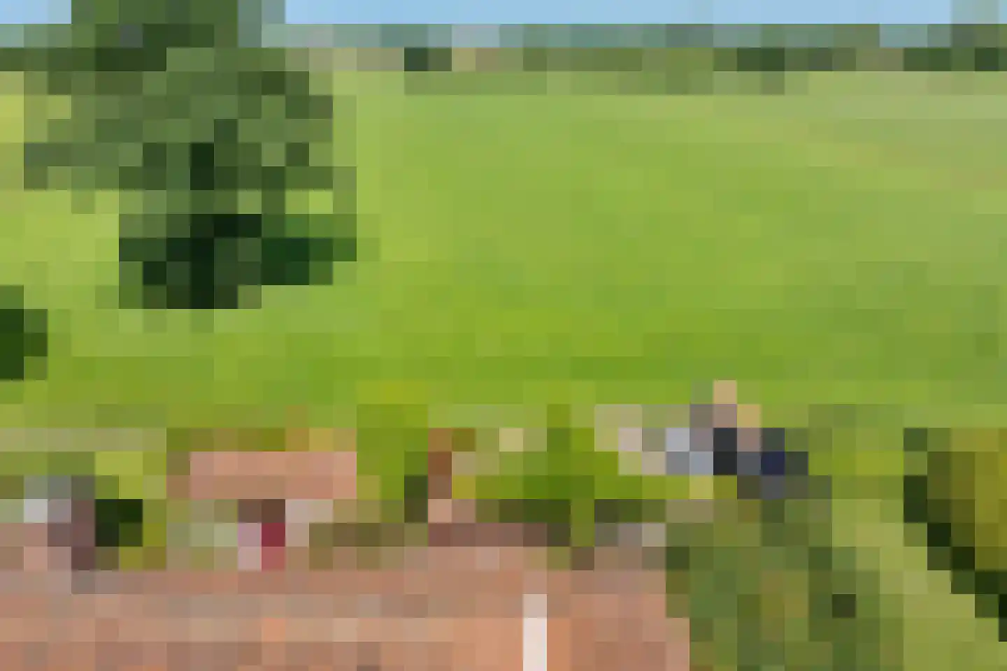 Nieuwe Statenzijl 37 Drieborg thumbnail 73