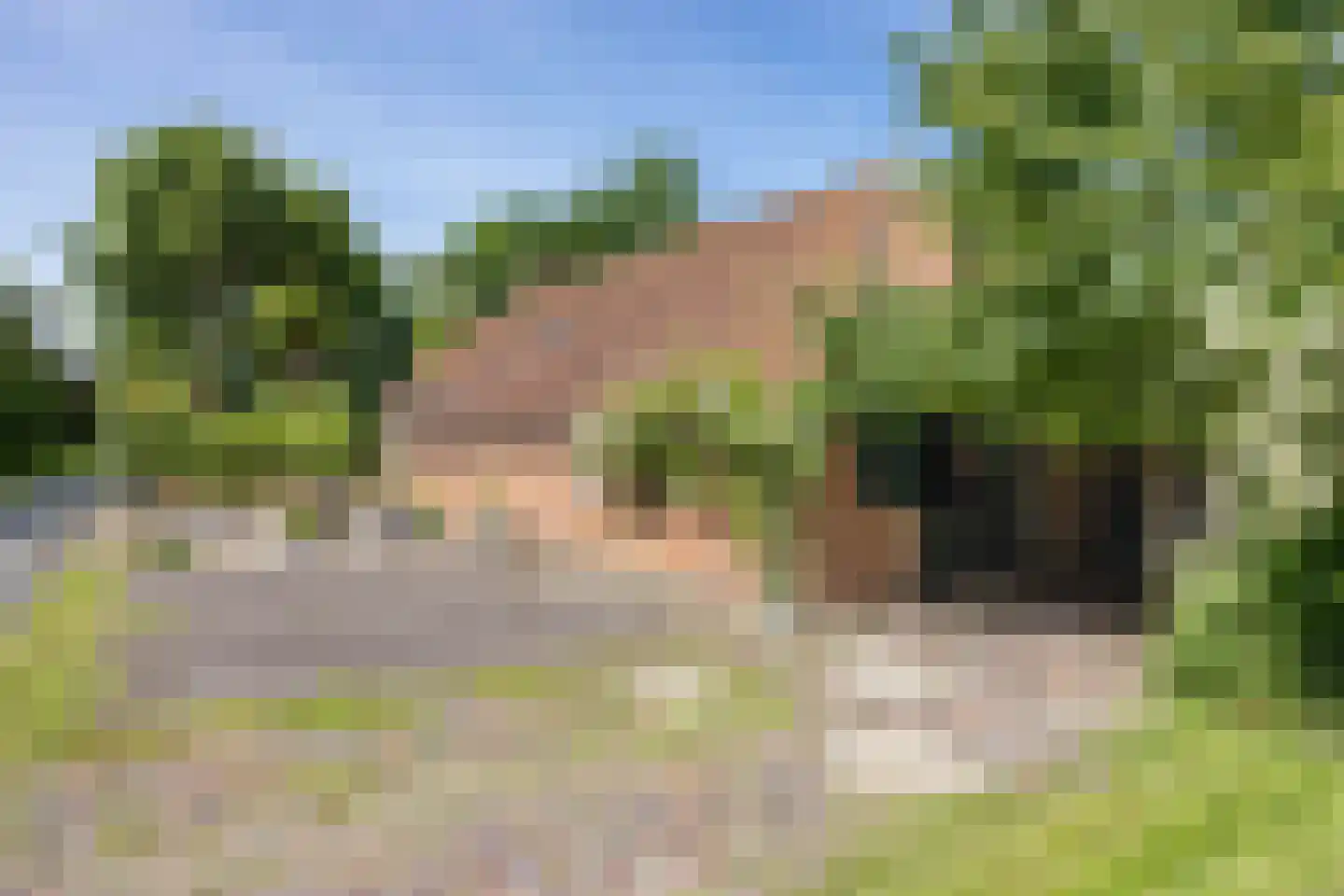 Nieuwe Statenzijl 37 Drieborg thumbnail 9