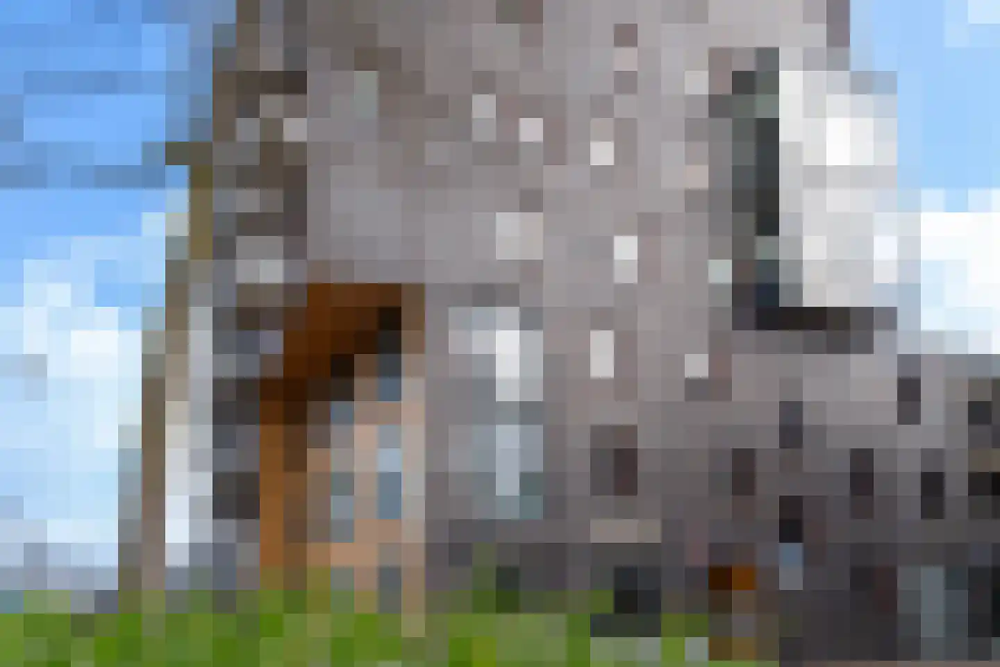 Nieuwe Stationsstraat 11 12 Ede thumbnail 24