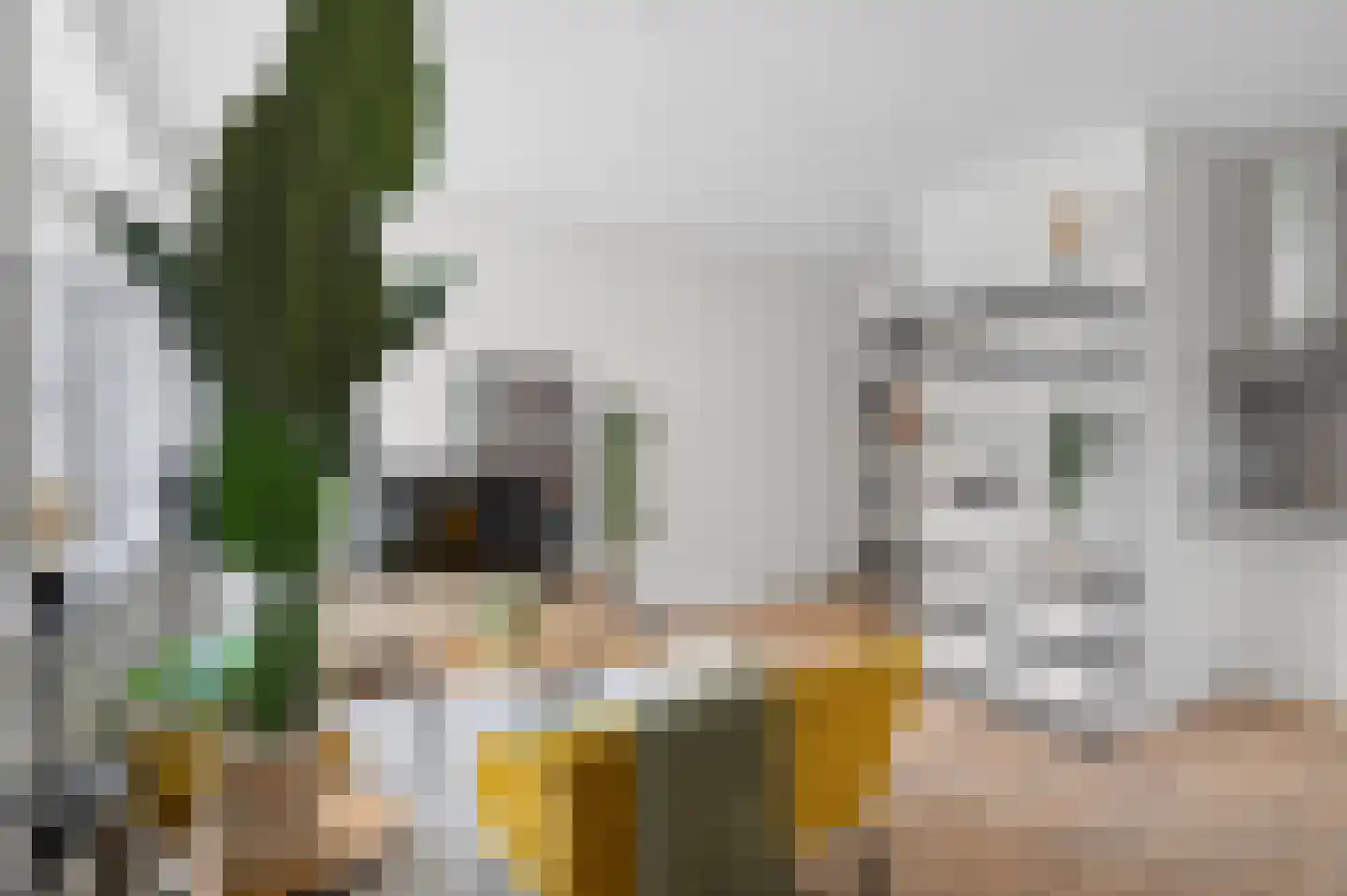Nieuwe Stationsstraat 5 A Ede thumbnail 5