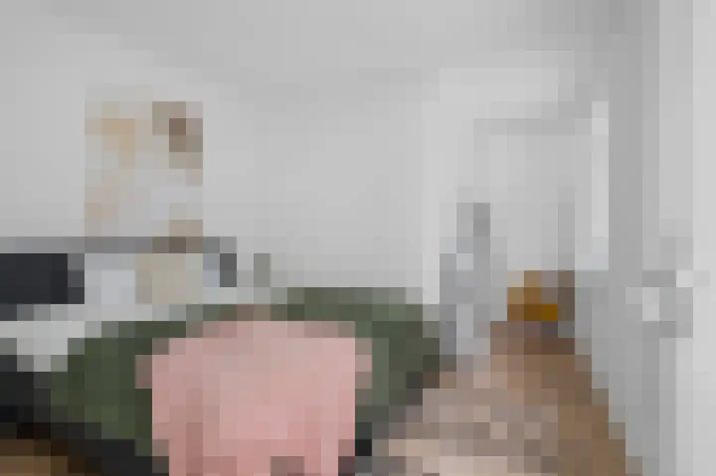 Nieuwe Stationsstraat 5 A Ede thumbnail 9