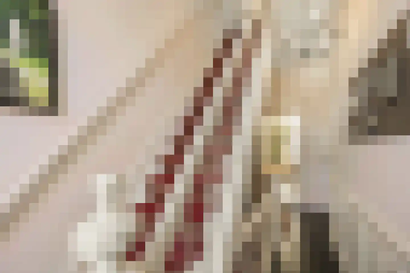 Nieuwe Stationsstraat 53 Ede thumbnail 4