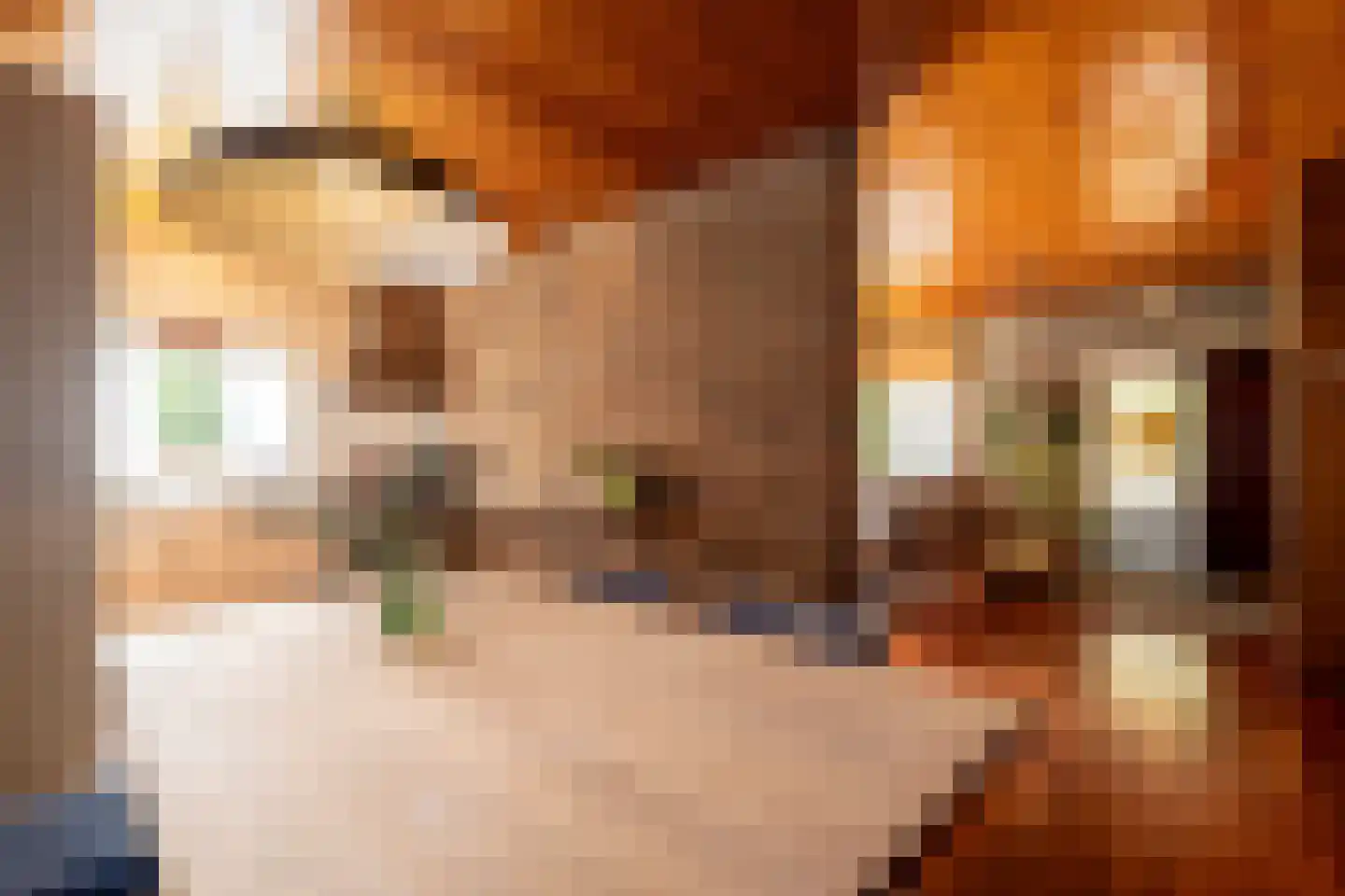 Nieuwe Stationsstraat 61 Arnhem thumbnail 15