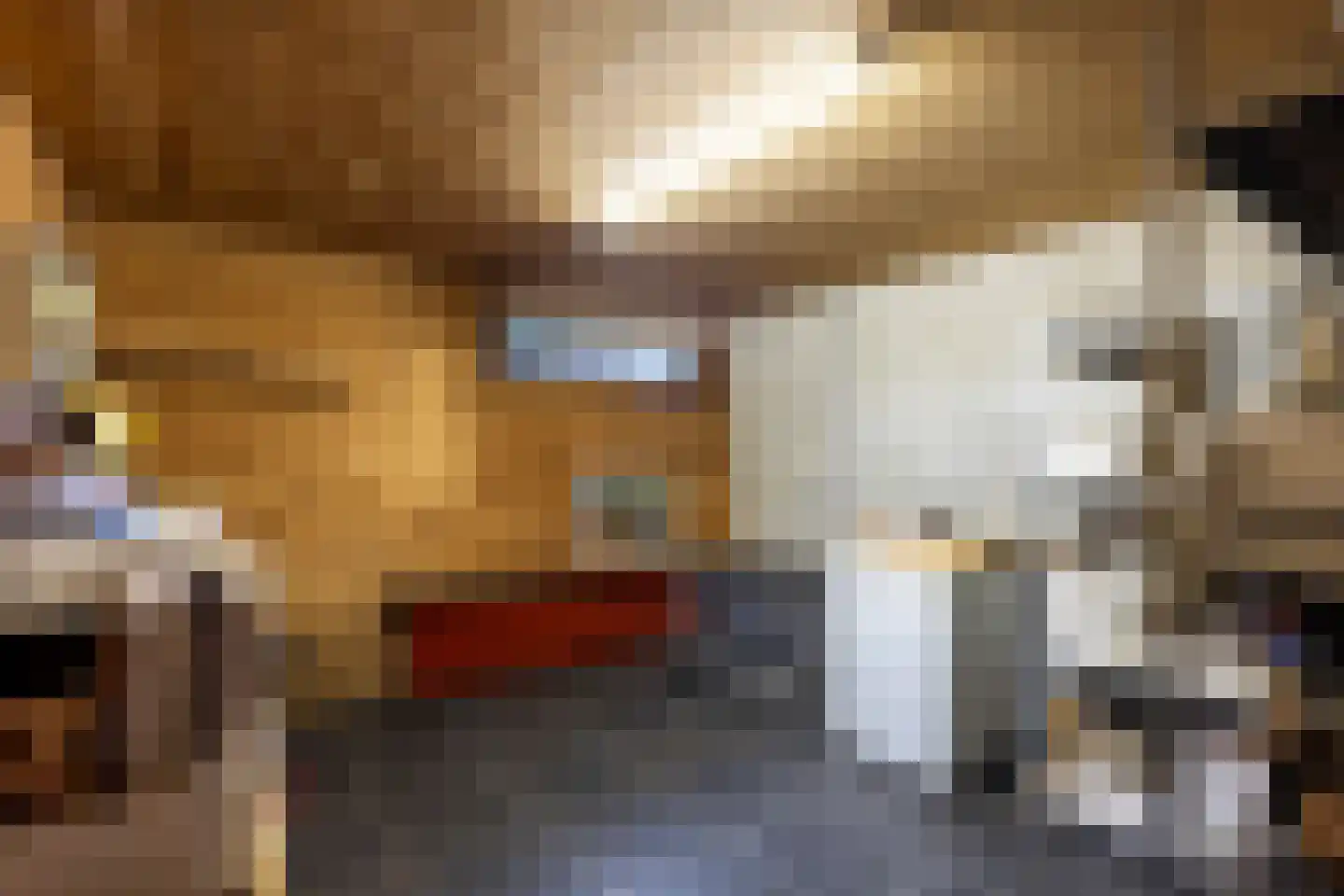 Nieuwe Stationsstraat 61 Arnhem thumbnail 34