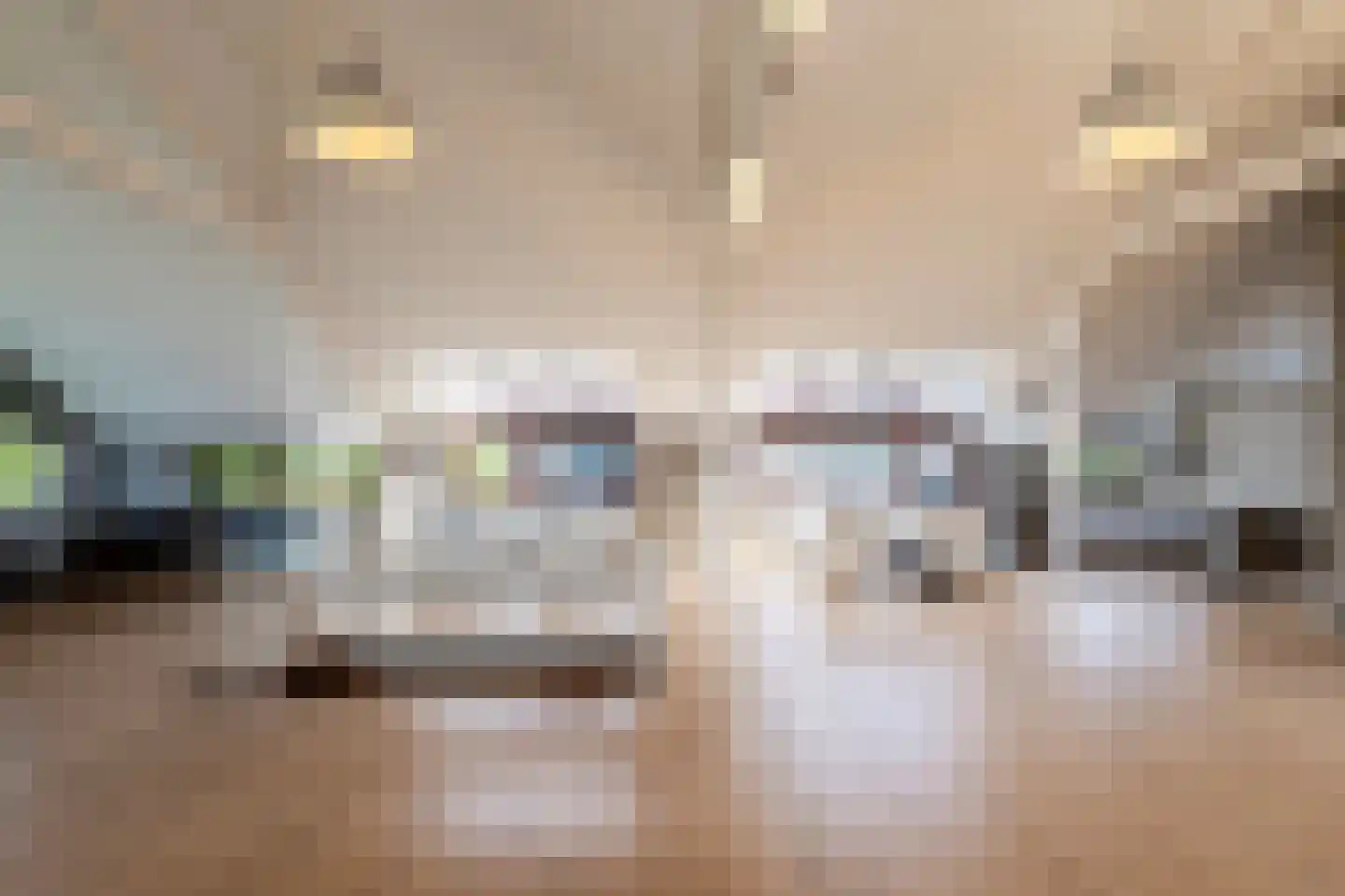Nieuwe Stationsstraat 61 Arnhem thumbnail 4