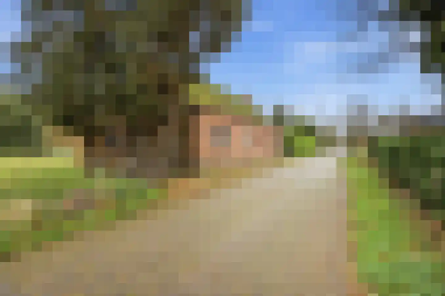 Nieuwe Stee 5 Hoogerheide