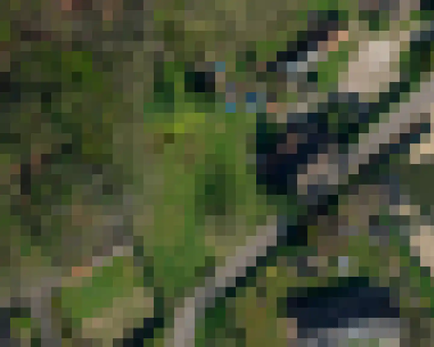 Nieuwe Stee 5 Hoogerheide thumbnail 10