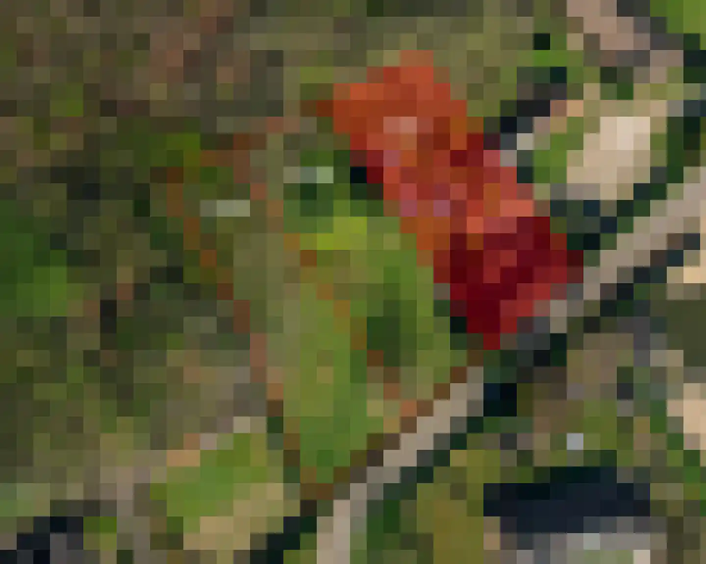Nieuwe Stee 5 Hoogerheide thumbnail 12