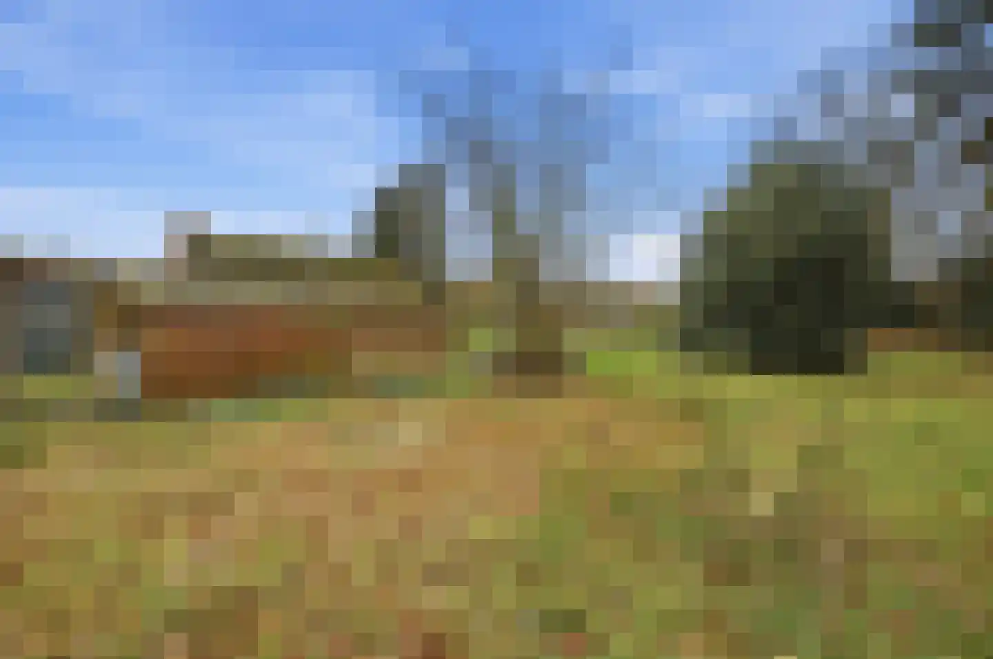 Nieuwe Stee 5 Hoogerheide thumbnail 9