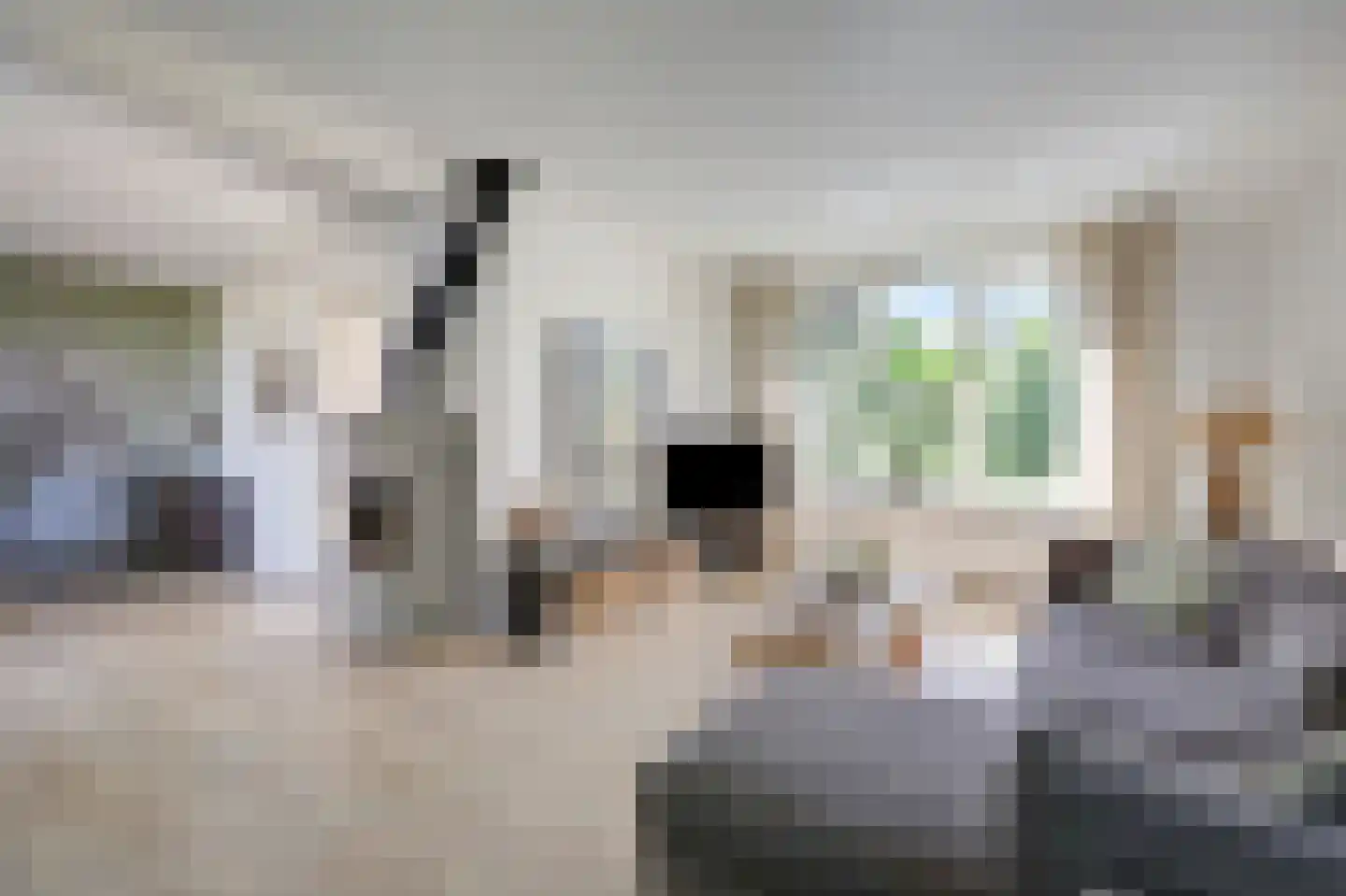 Nieuwe Steeg 1 Zevenaar thumbnail 10
