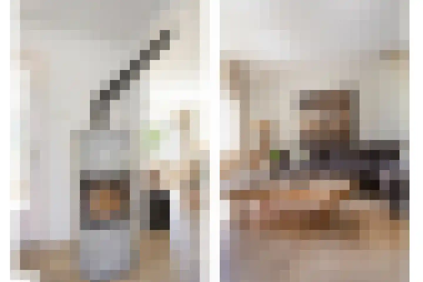 Nieuwe Steeg 1 Zevenaar thumbnail 13