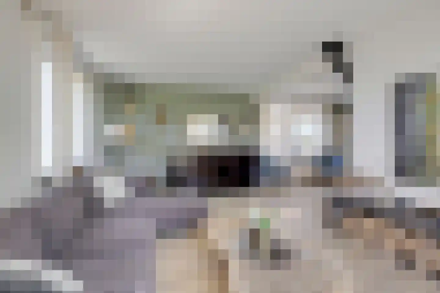 Nieuwe Steeg 1 Zevenaar thumbnail 14