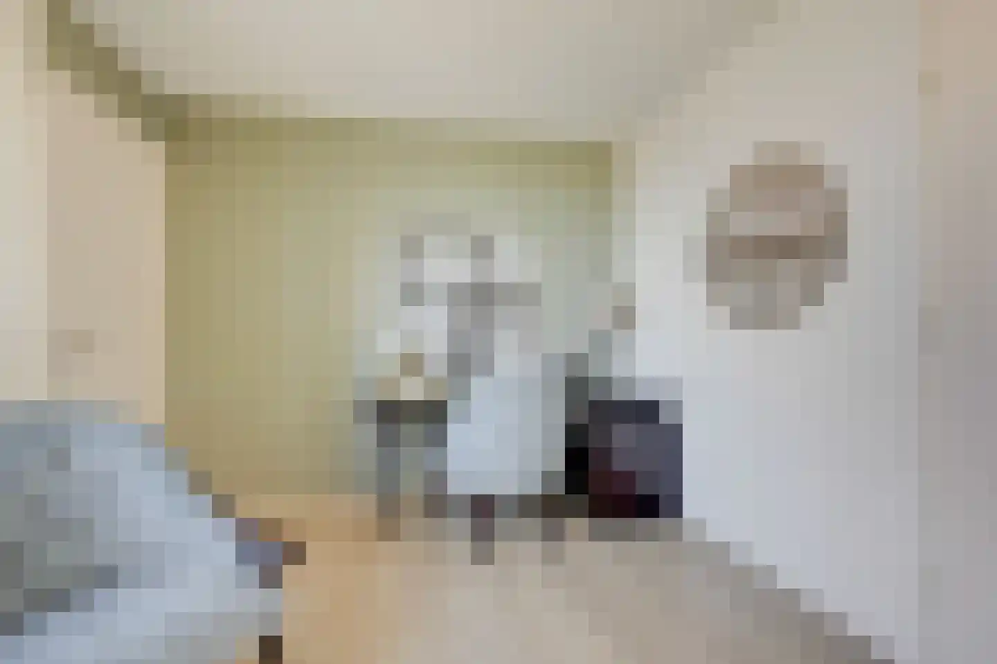 Nieuwe Steeg 1 Zevenaar thumbnail 16