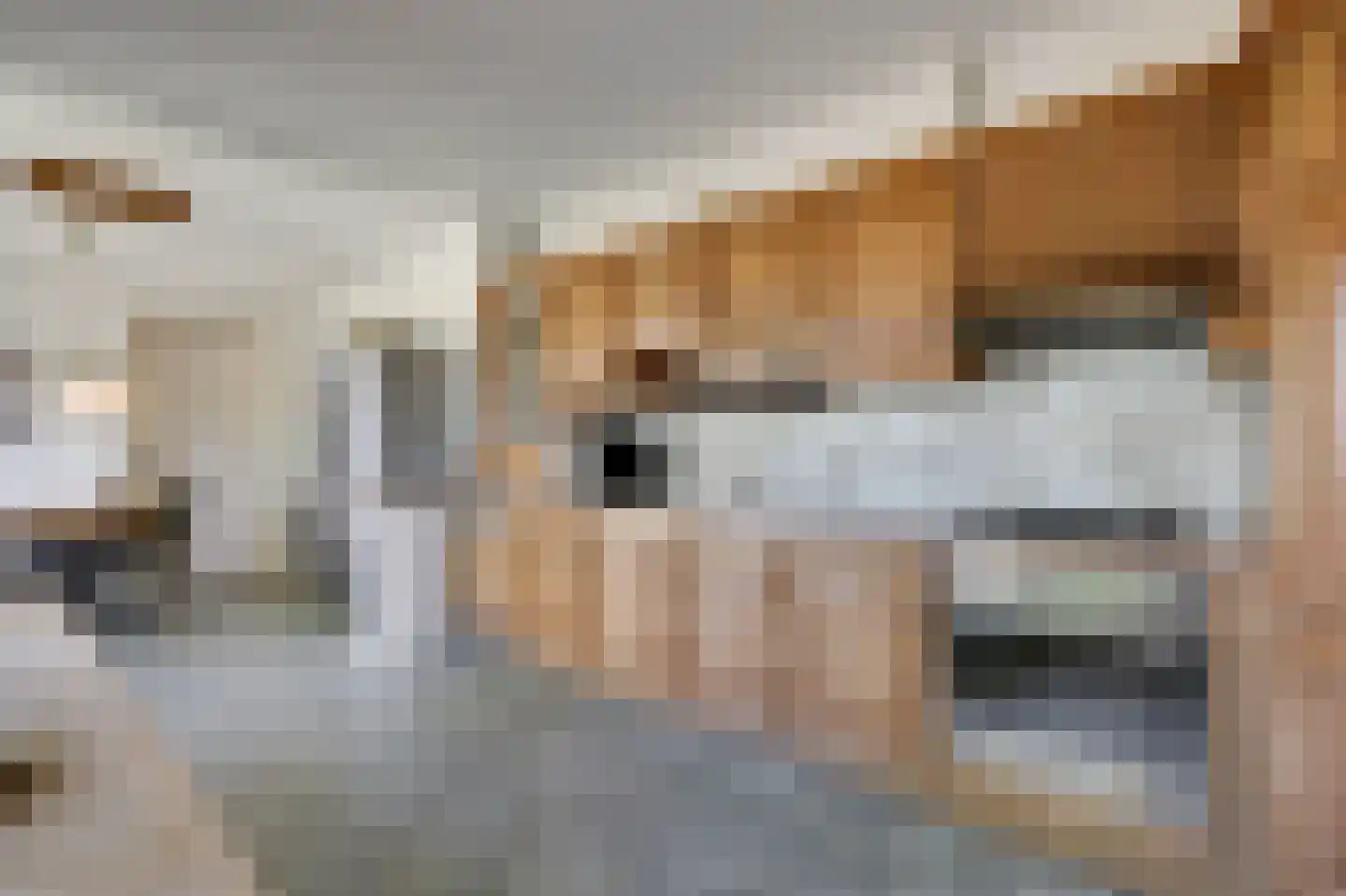 Nieuwe Steeg 1 Zevenaar thumbnail 17