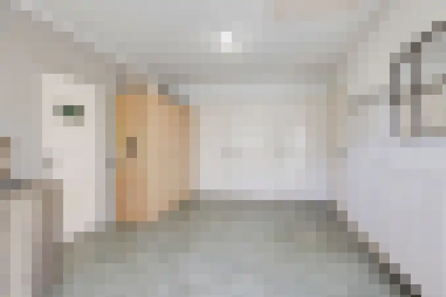 Nieuwe Steeg 1 Zevenaar thumbnail 22