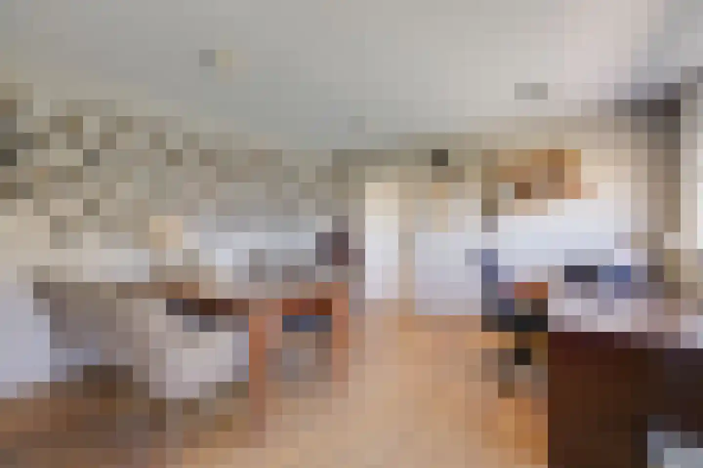 Nieuwe Steeg 1 Zevenaar thumbnail 25