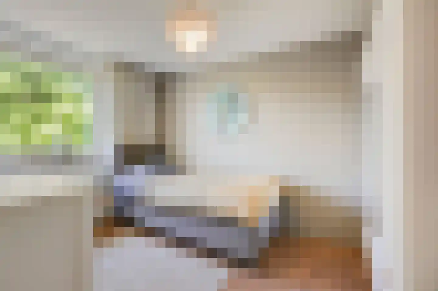 Nieuwe Steeg 1 Zevenaar thumbnail 26