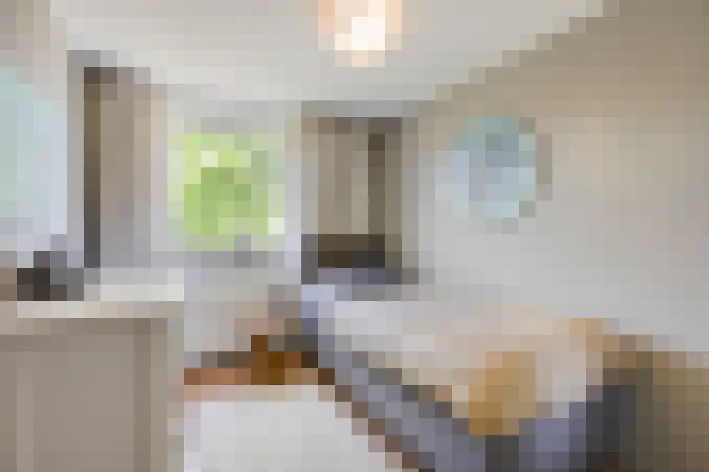 Nieuwe Steeg 1 Zevenaar thumbnail 27