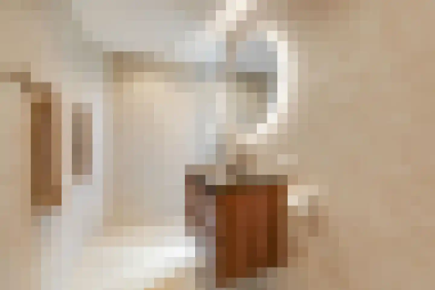 Nieuwe Steeg 1 Zevenaar thumbnail 31