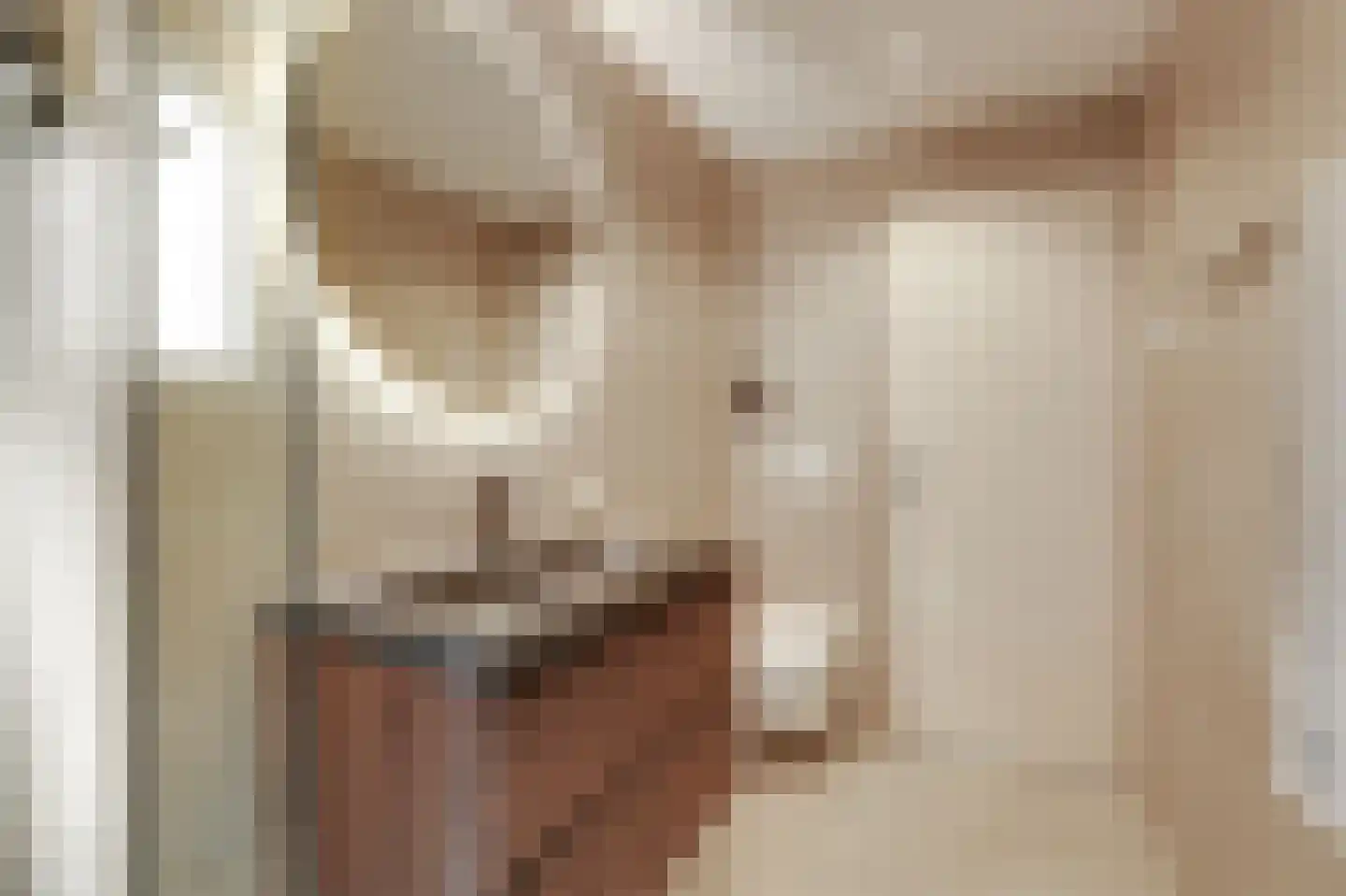 Nieuwe Steeg 1 Zevenaar thumbnail 32