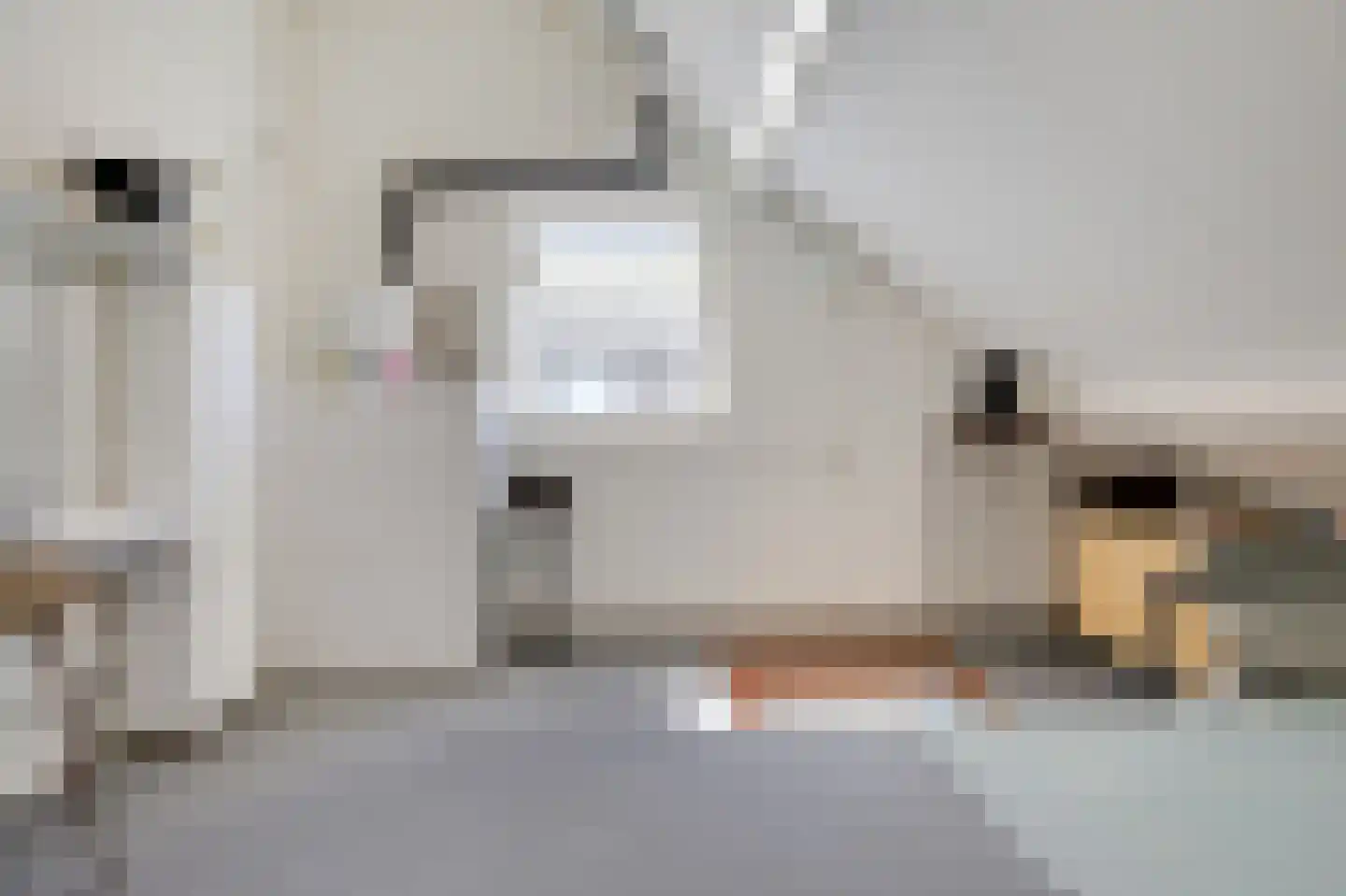 Nieuwe Steeg 1 Zevenaar thumbnail 35