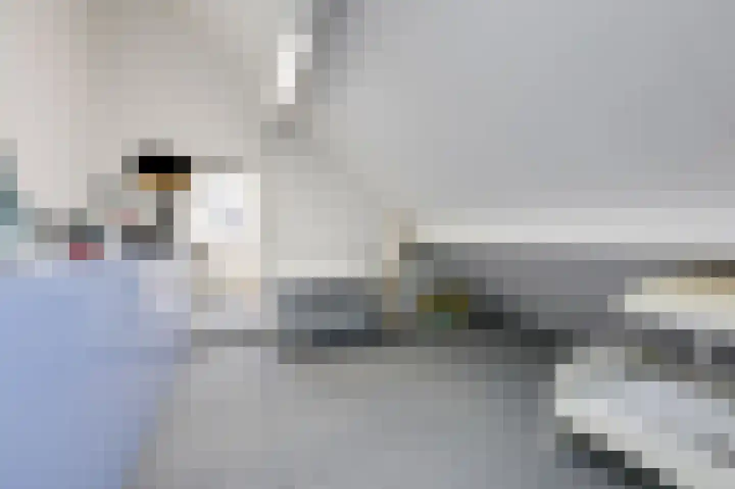 Nieuwe Steeg 1 Zevenaar thumbnail 36