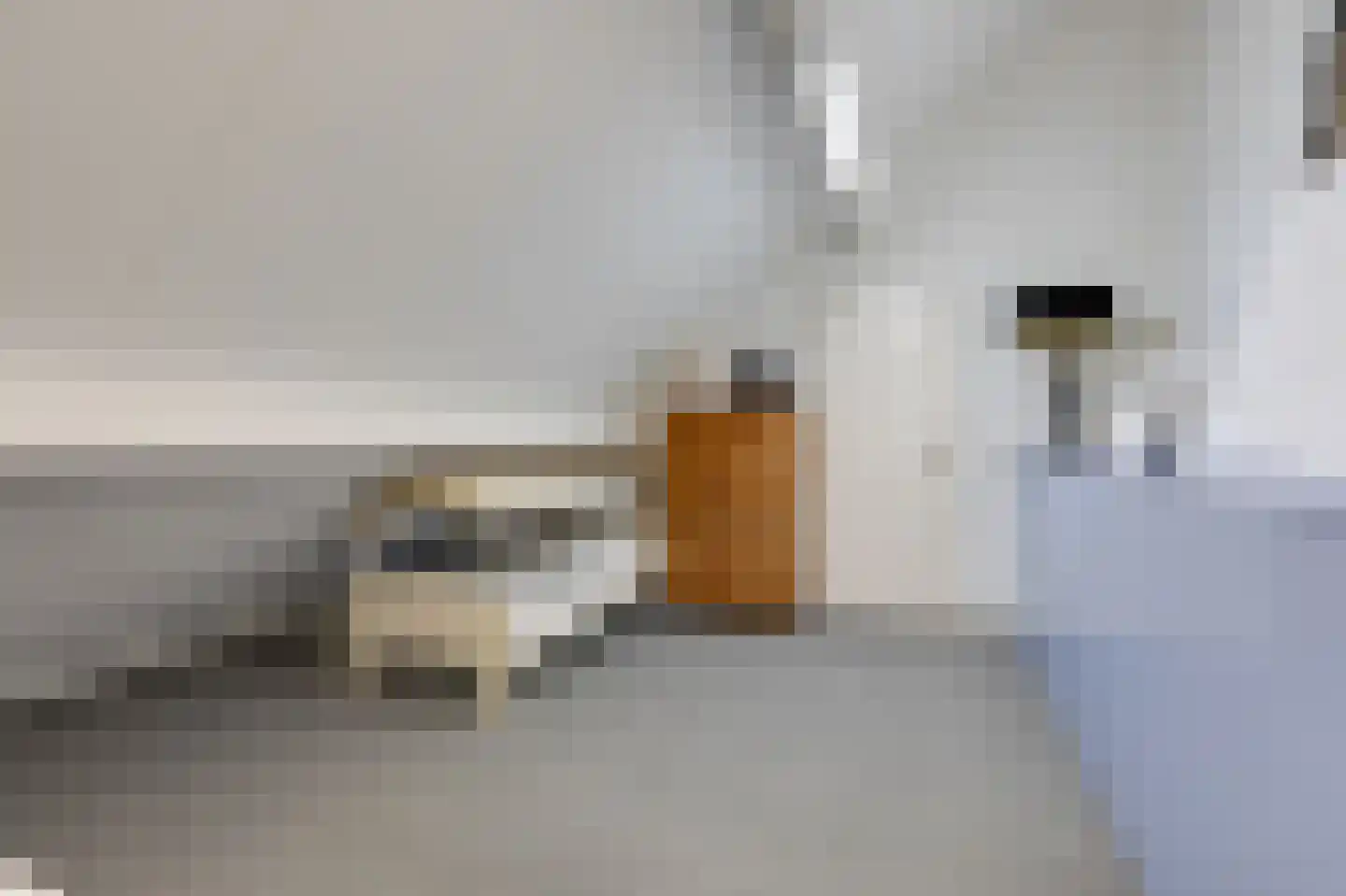 Nieuwe Steeg 1 Zevenaar thumbnail 37