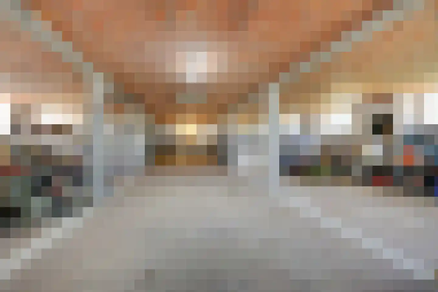 Nieuwe Steeg 1 Zevenaar thumbnail 40