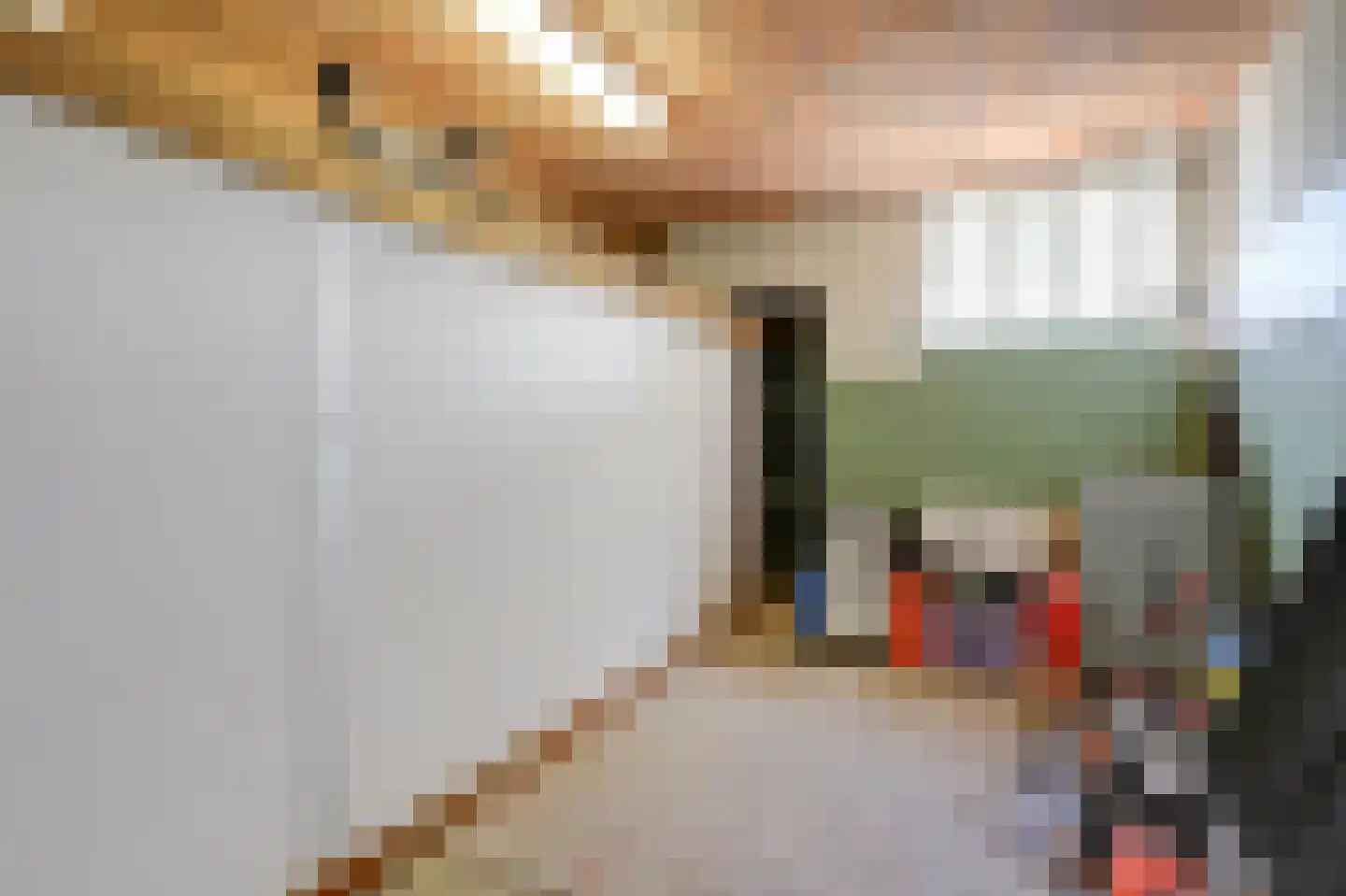 Nieuwe Steeg 1 Zevenaar thumbnail 41