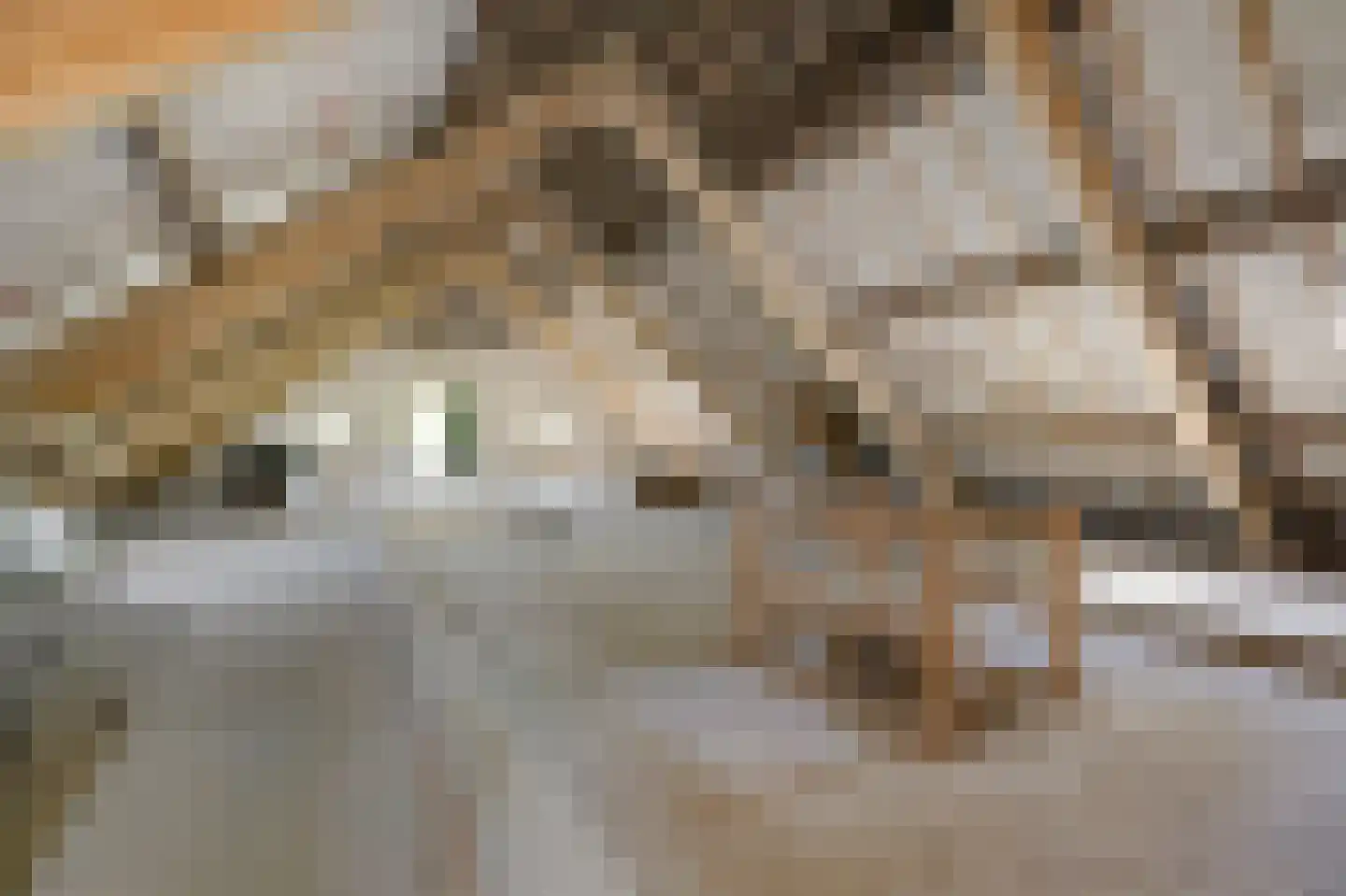 Nieuwe Steeg 1 Zevenaar thumbnail 42