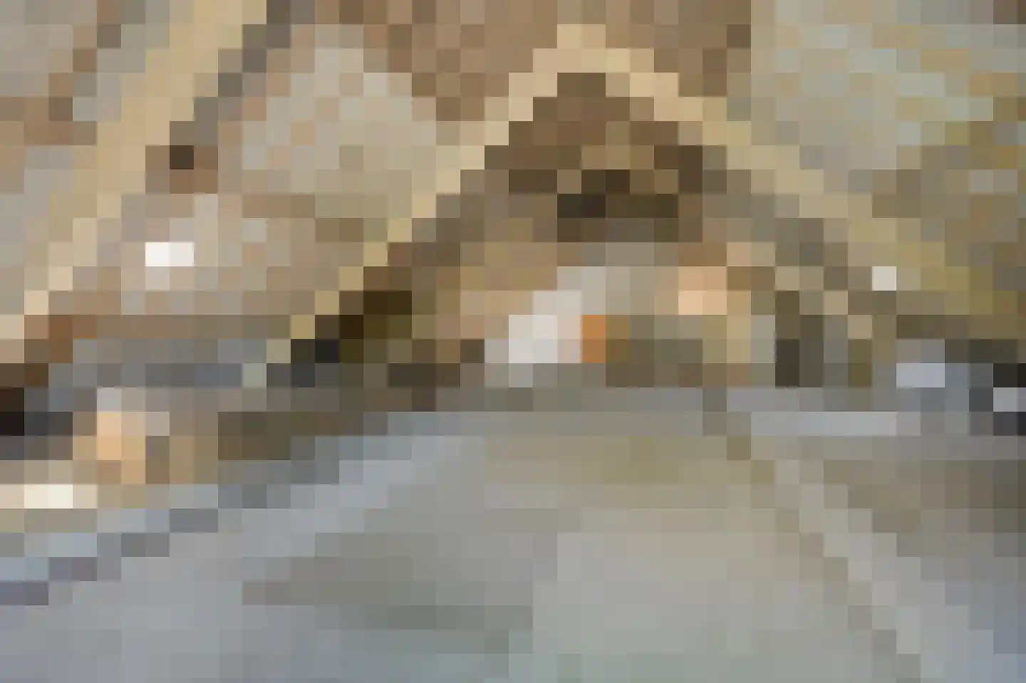 Nieuwe Steeg 1 Zevenaar thumbnail 43
