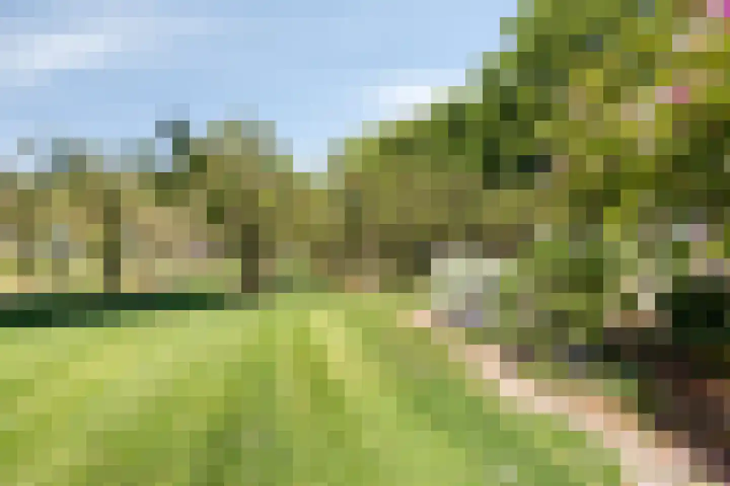 Nieuwe Steeg 1 Zevenaar thumbnail 45