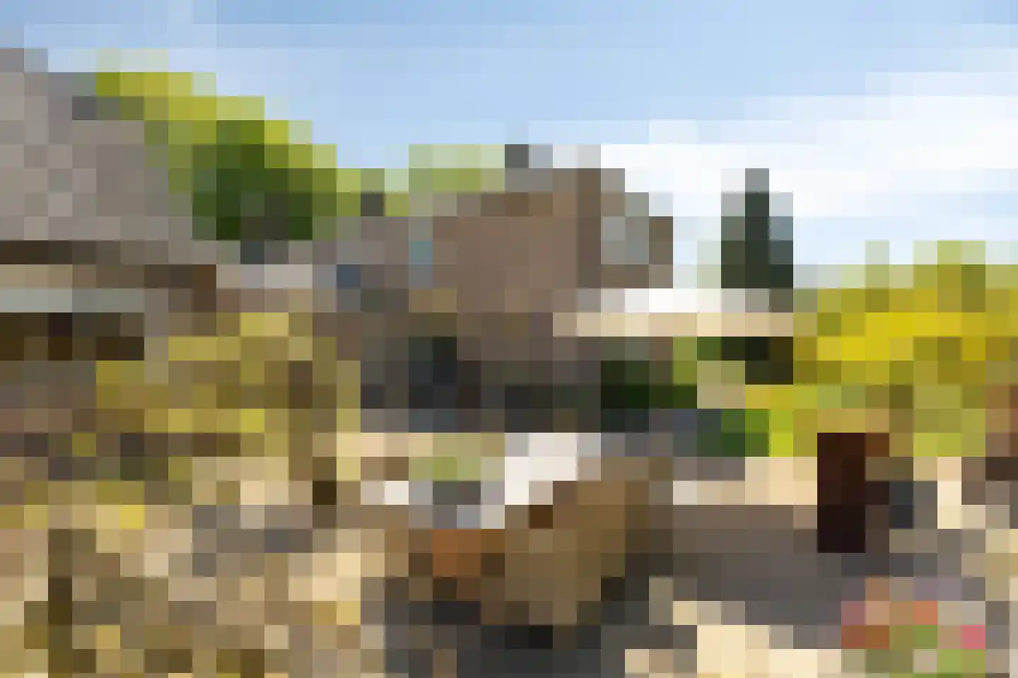 Nieuwe Steeg 1 Zevenaar thumbnail 46
