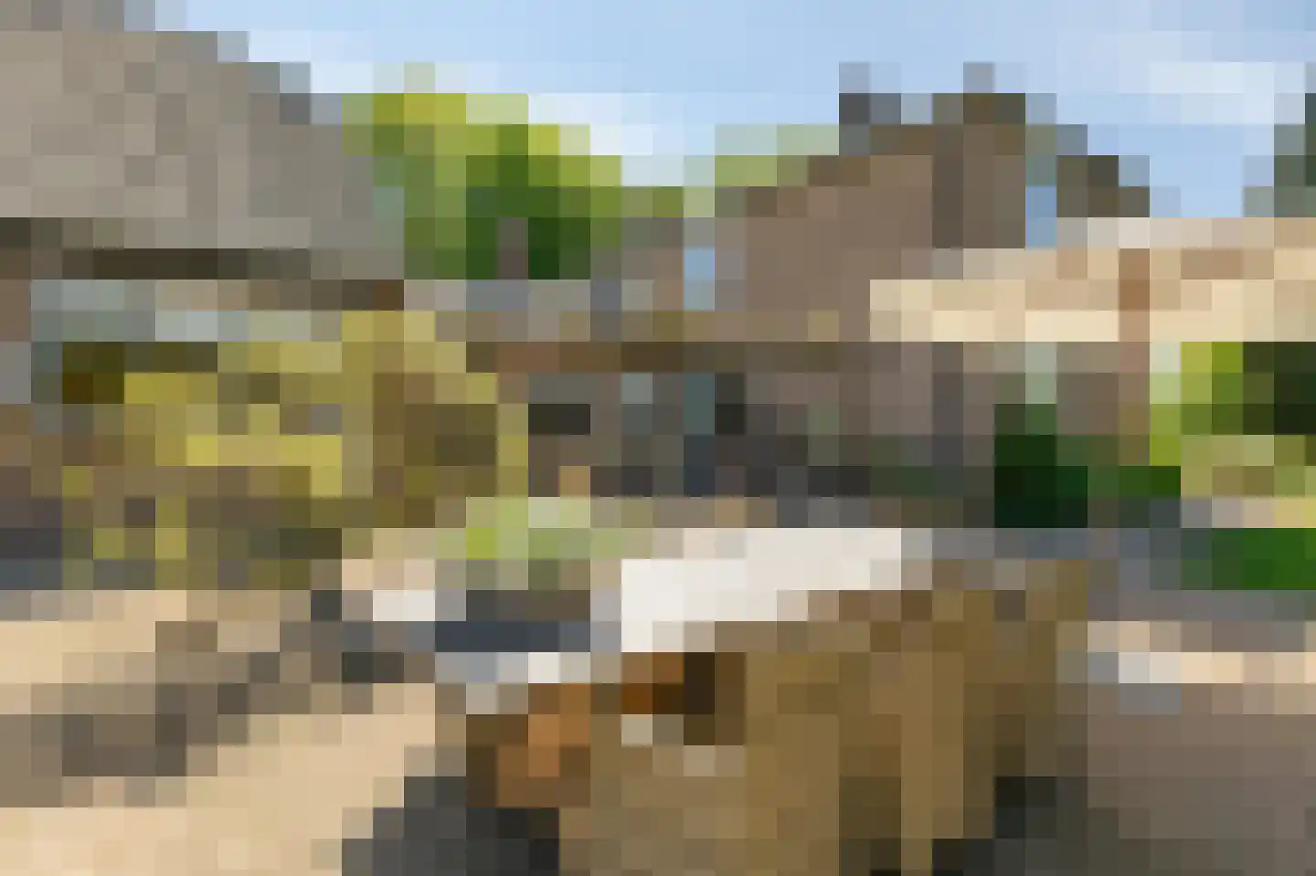 Nieuwe Steeg 1 Zevenaar thumbnail 47