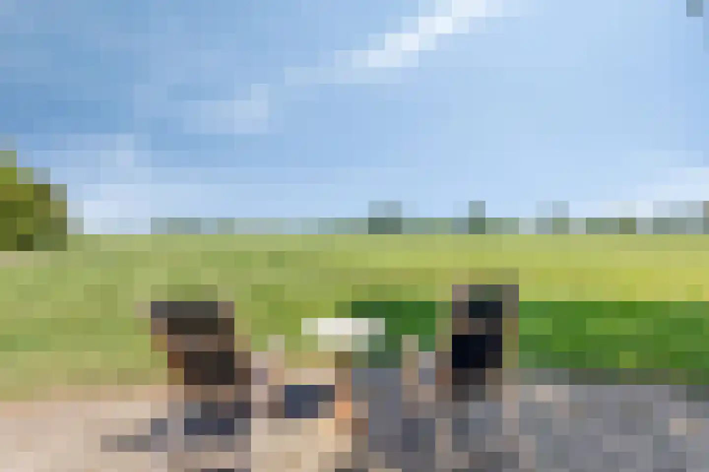 Nieuwe Steeg 1 Zevenaar thumbnail 48
