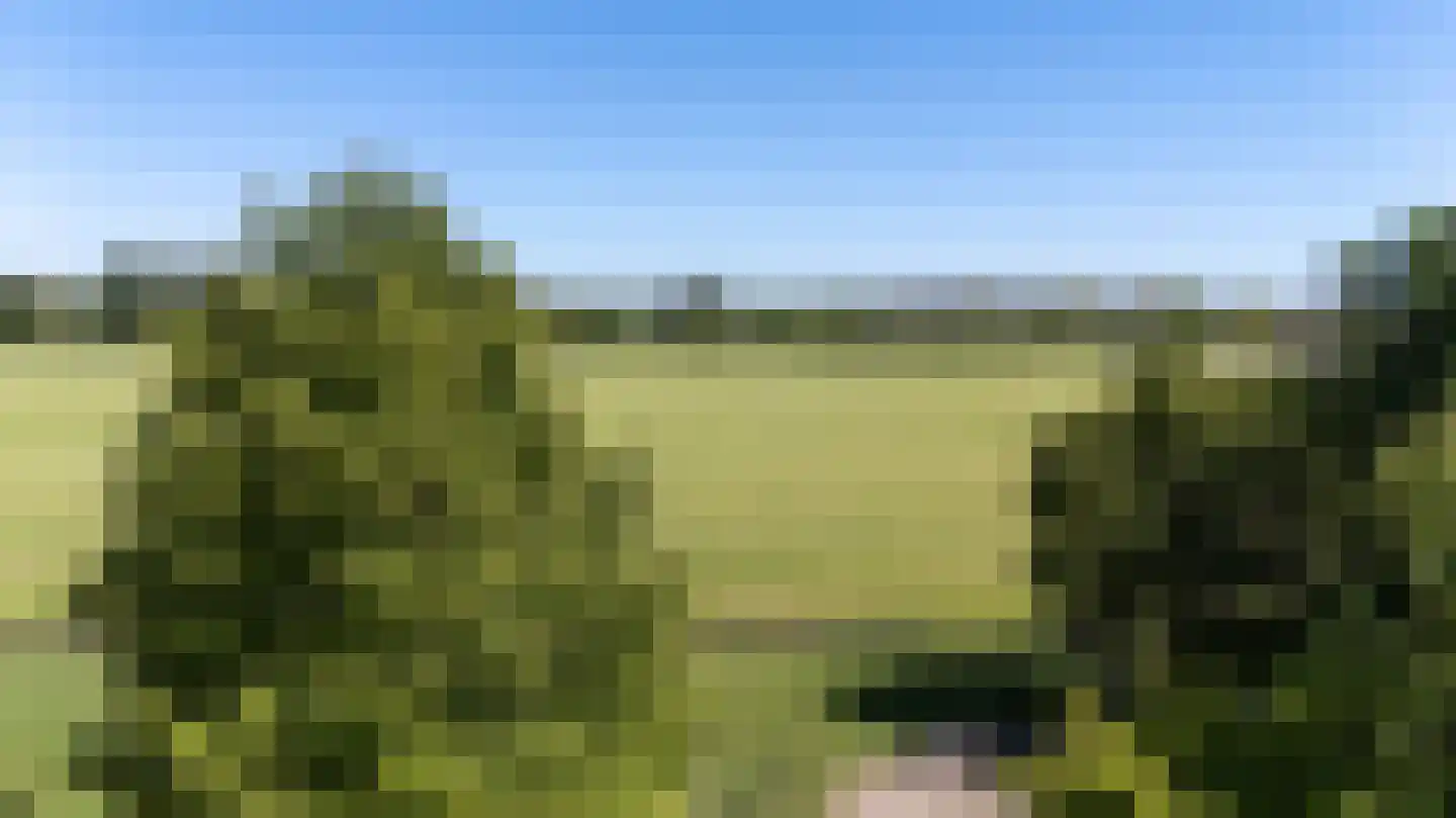 Nieuwe Steeg 1 Zevenaar thumbnail 49