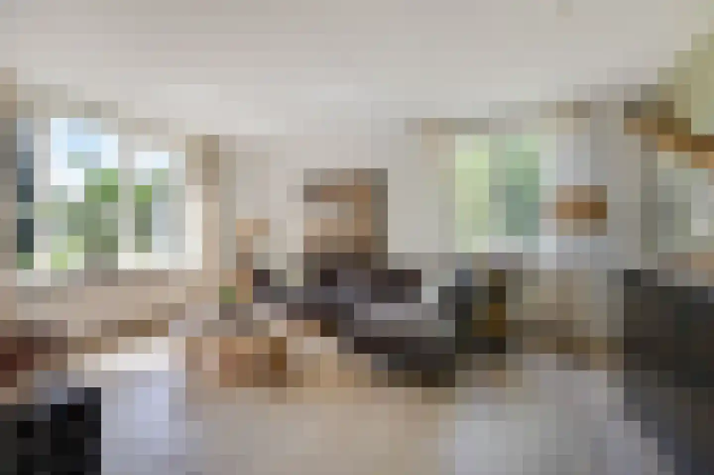 Nieuwe Steeg 1 Zevenaar thumbnail 5