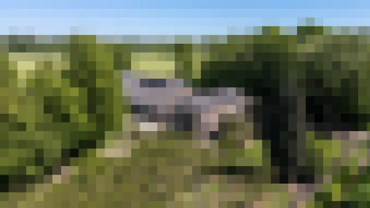 Nieuwe Steeg 1 Zevenaar thumbnail 50