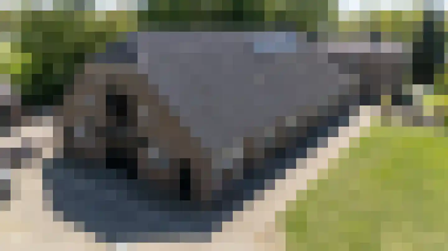 Nieuwe Steeg 1 Zevenaar thumbnail 55