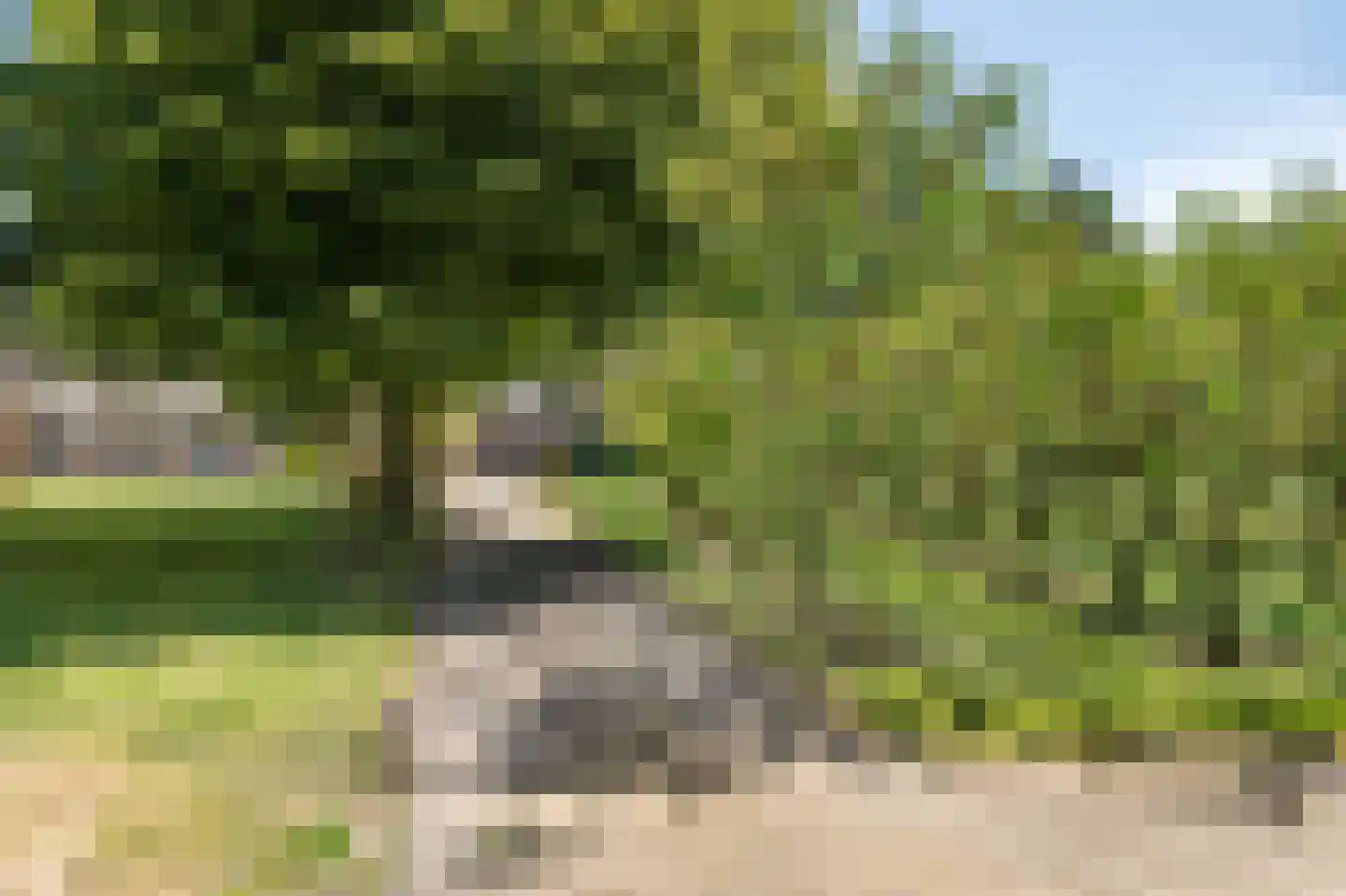 Nieuwe Steeg 1 Zevenaar thumbnail 56