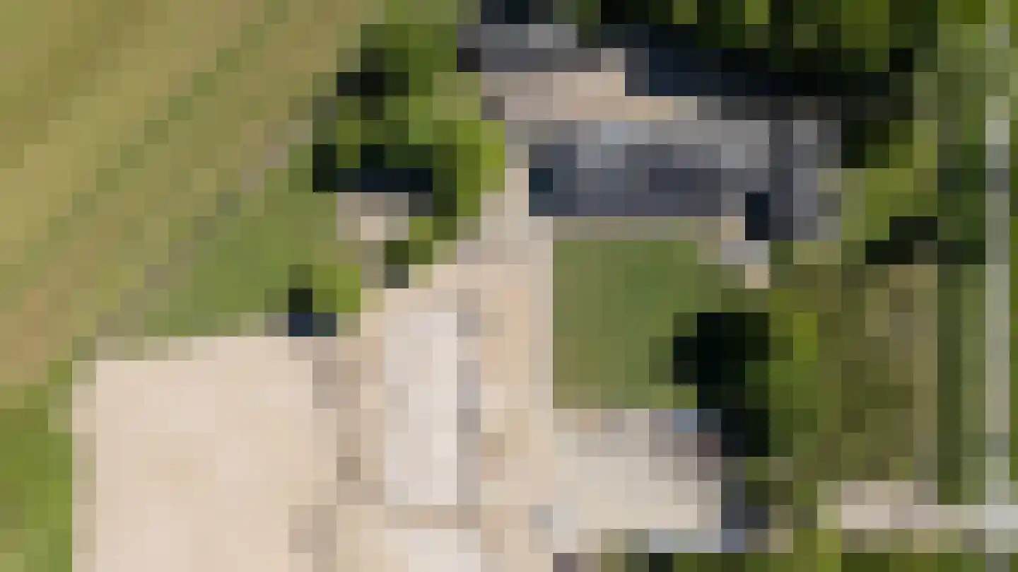 Nieuwe Steeg 1 Zevenaar thumbnail 57