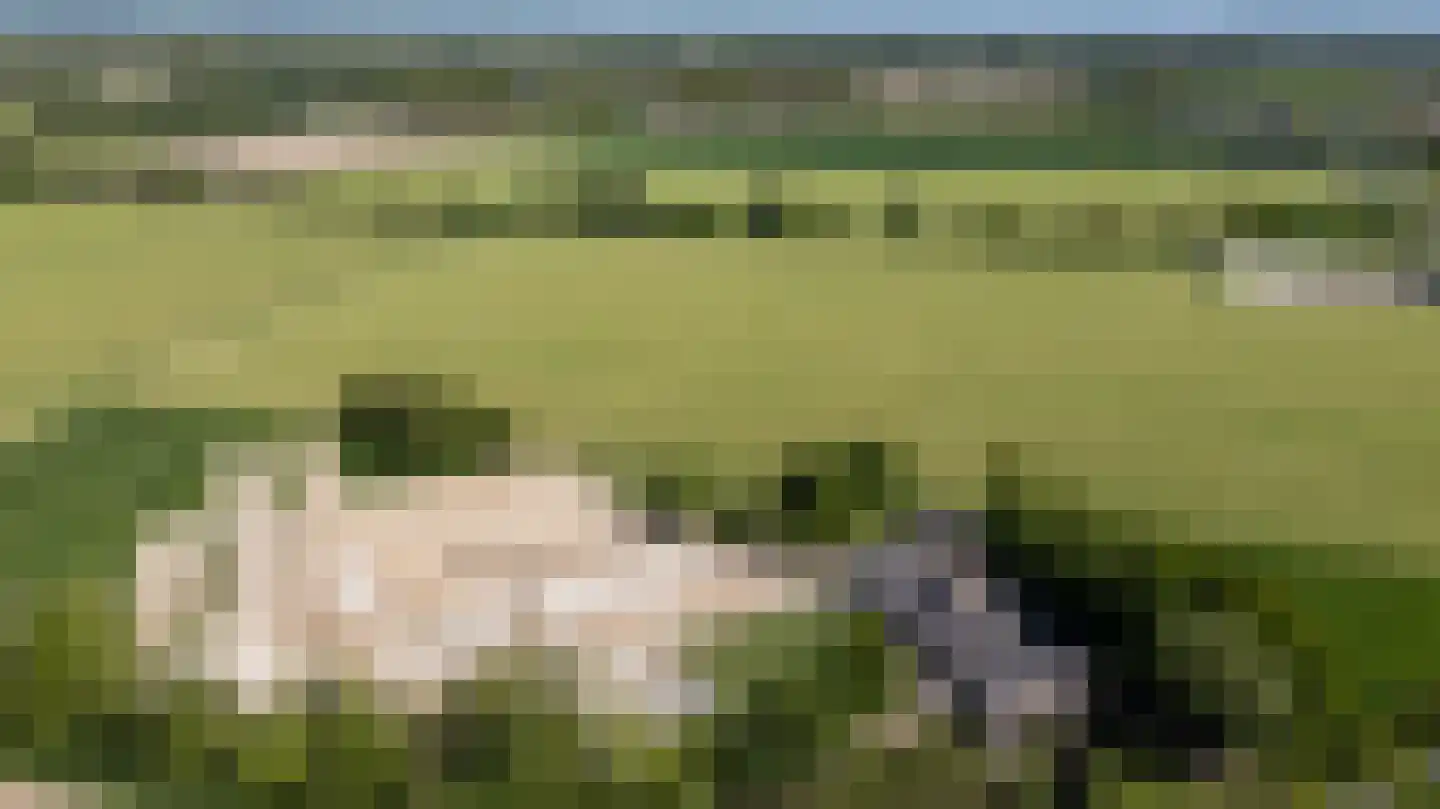Nieuwe Steeg 1 Zevenaar thumbnail 59