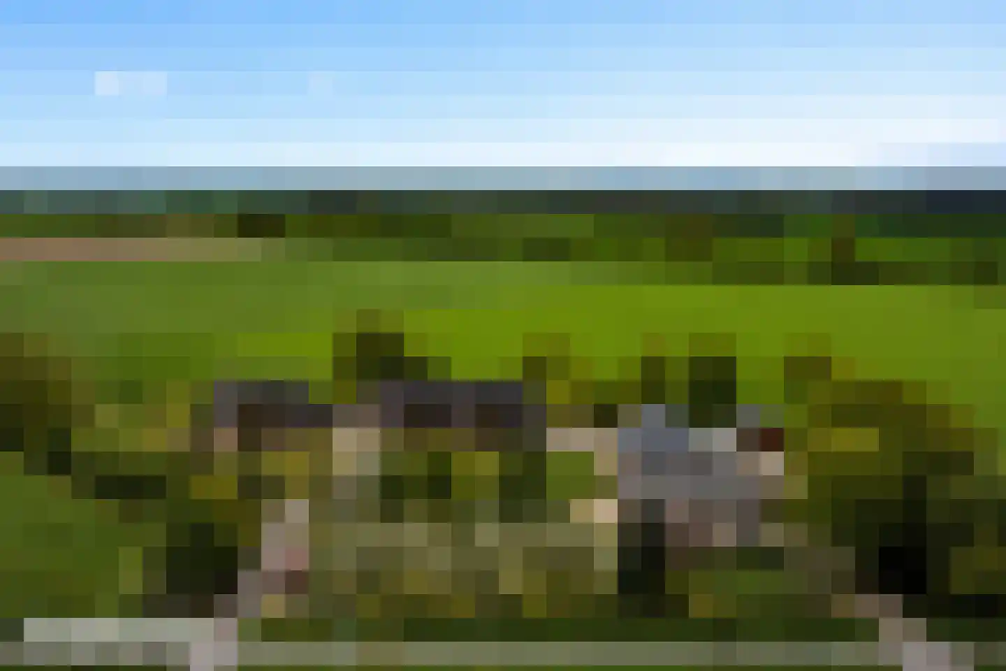 Nieuwe Steeg 1 Zevenaar thumbnail 60