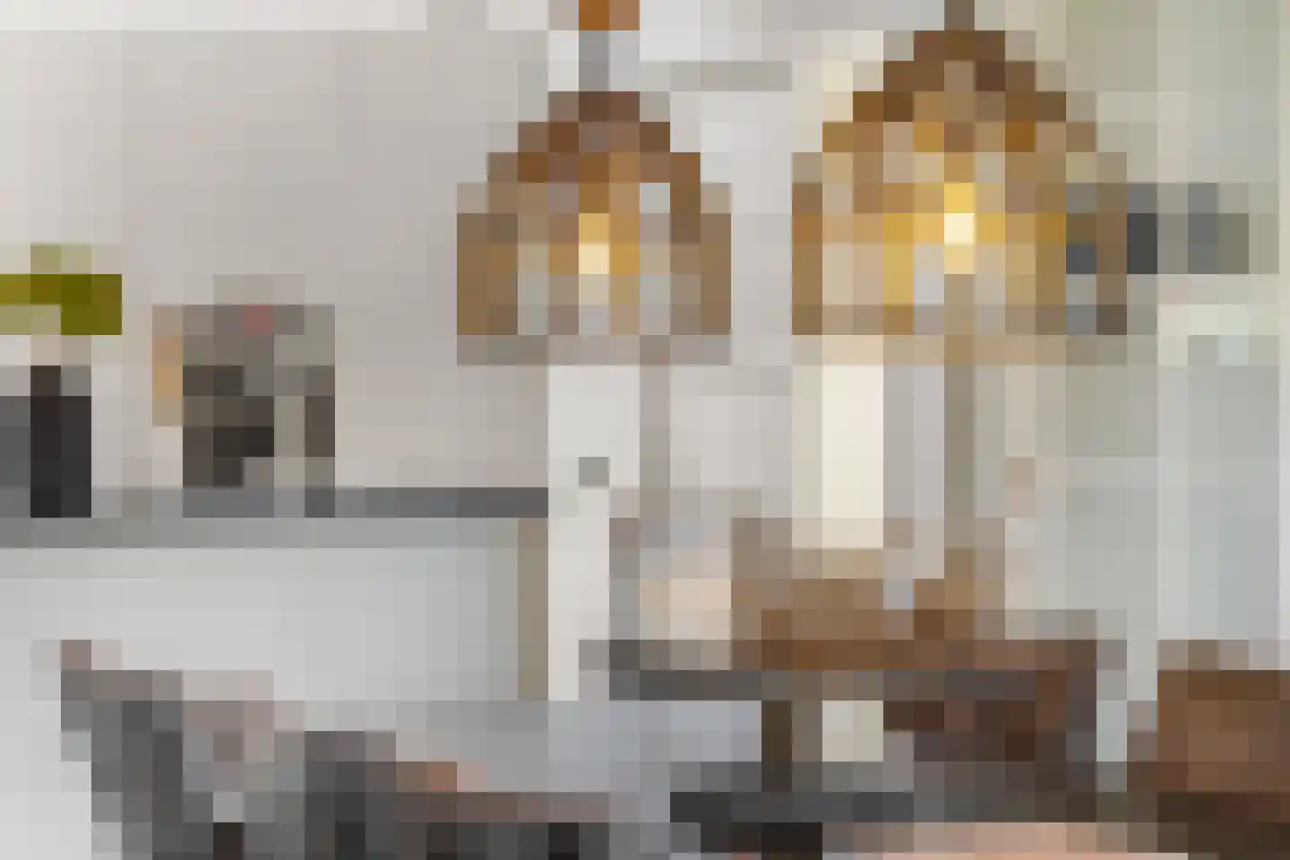 Nieuwe Steeg 14 b Leersum thumbnail 14