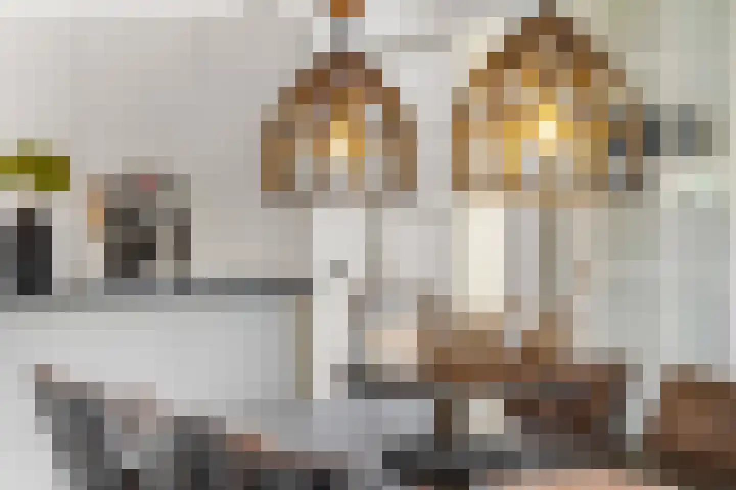 Nieuwe Steeg 14 b Leersum thumbnail 16