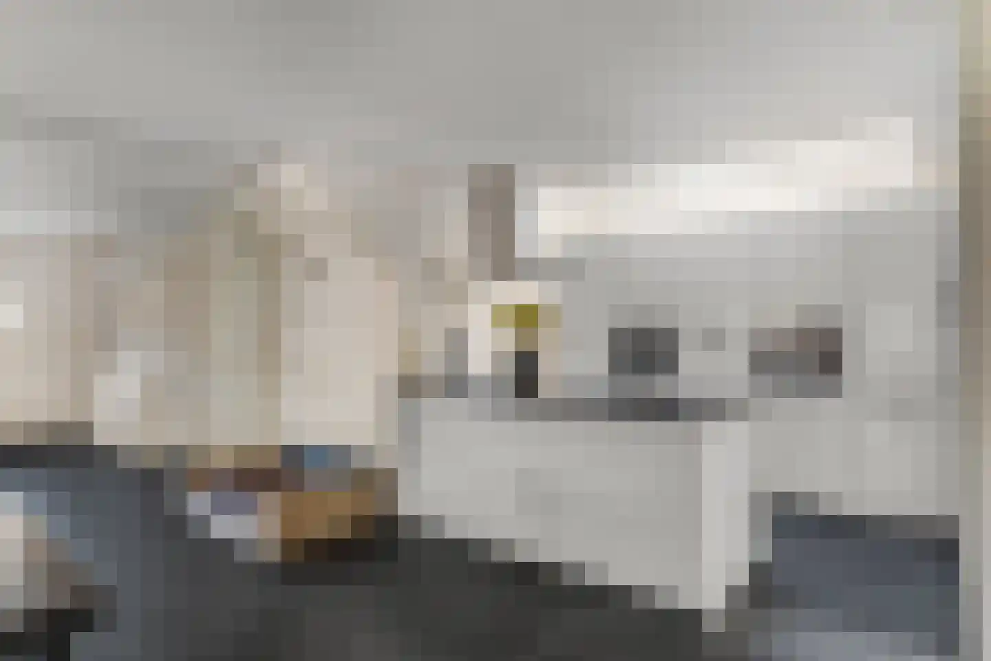 Nieuwe Steeg 14 b Leersum thumbnail 17