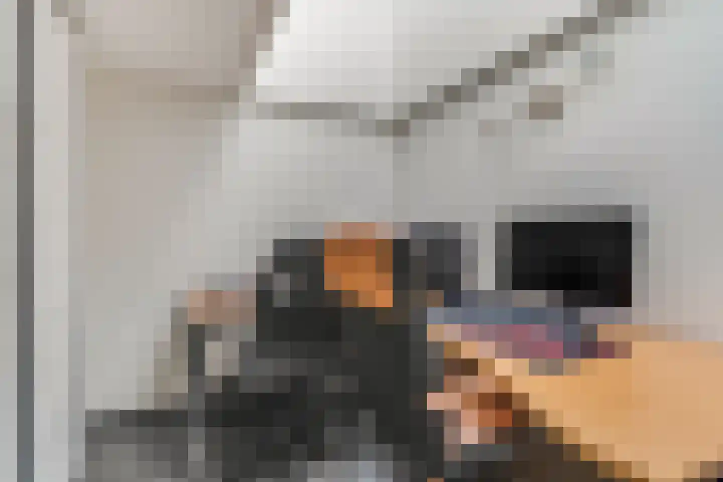 Nieuwe Steeg 14 b Leersum thumbnail 18