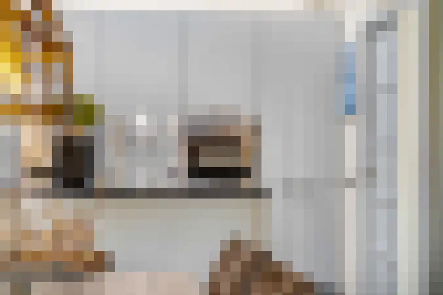 Nieuwe Steeg 14 b Leersum thumbnail 18