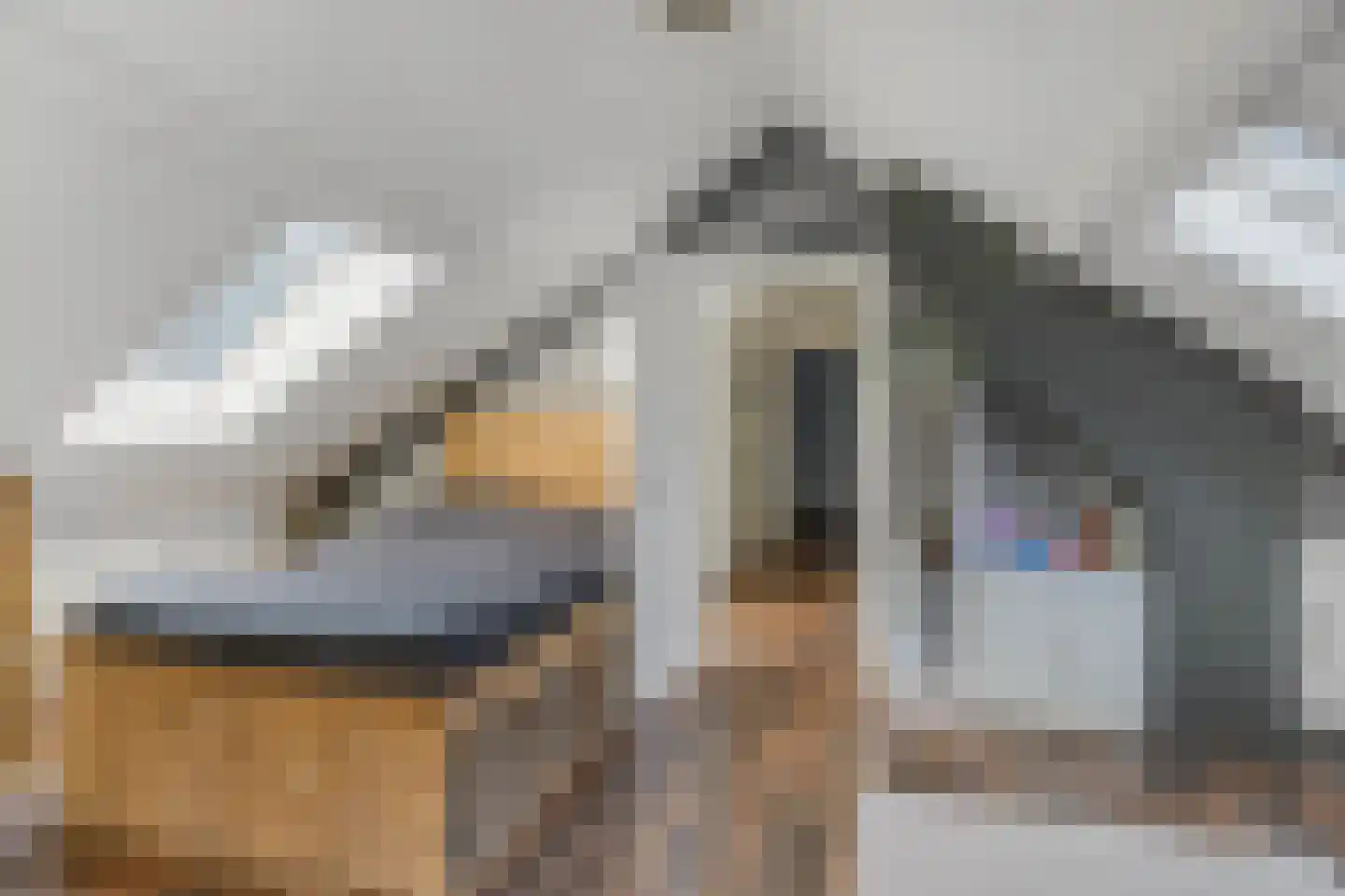 Nieuwe Steeg 14 b Leersum thumbnail 25