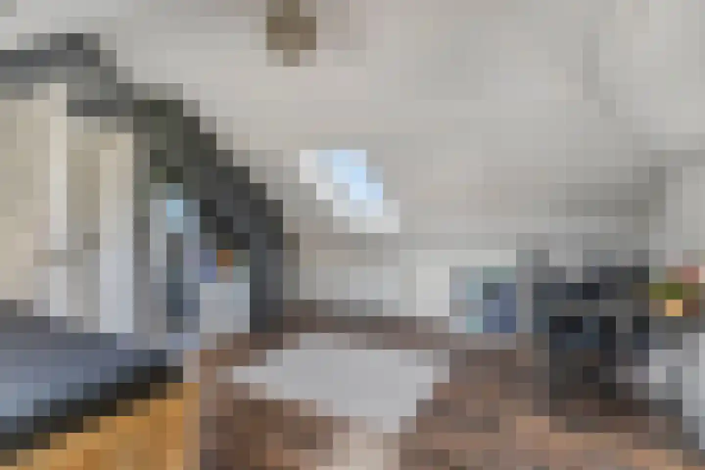 Nieuwe Steeg 14 b Leersum thumbnail 26